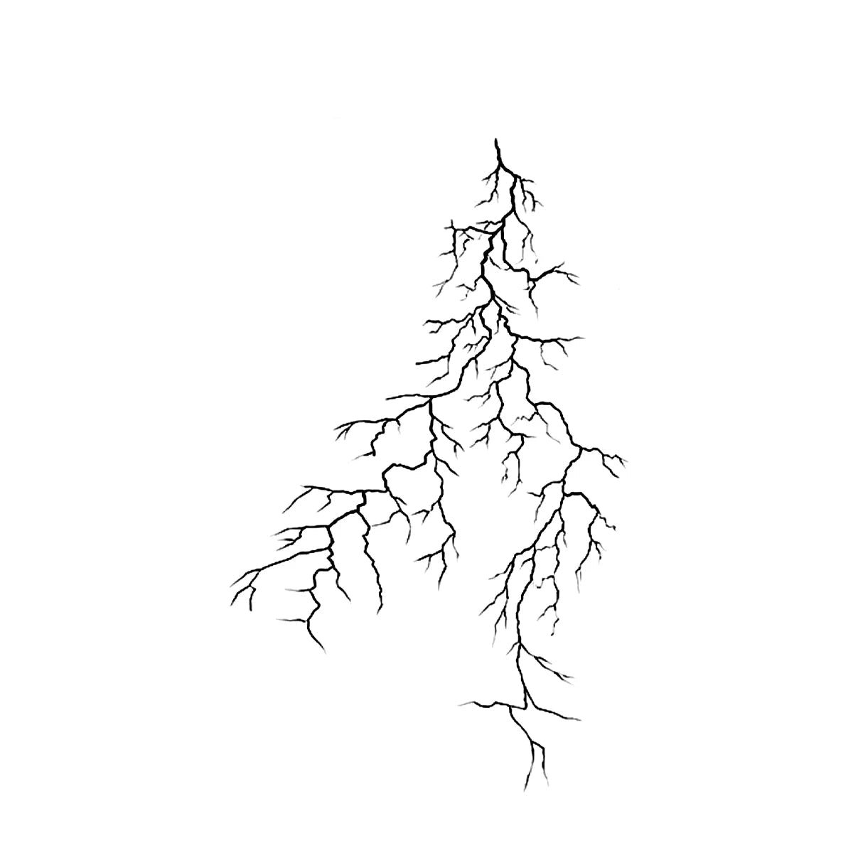 Lightning & Roots