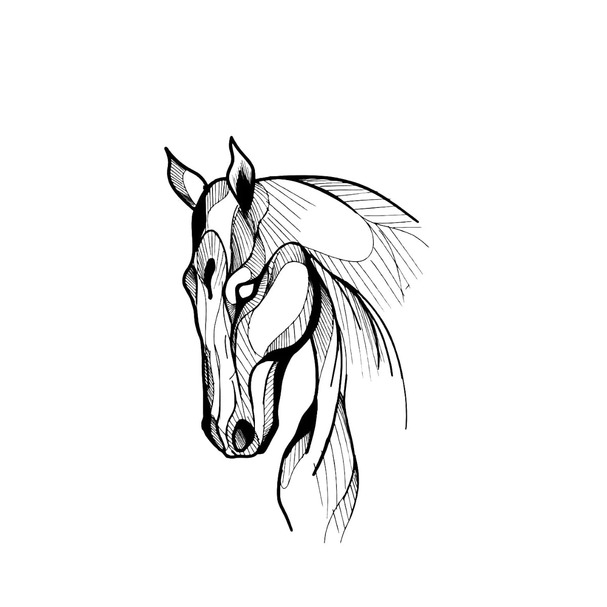 Graceful Gallop