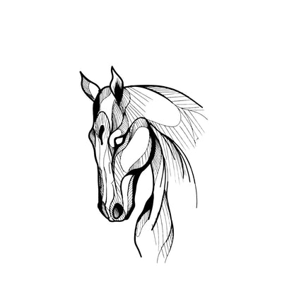Graceful Gallop