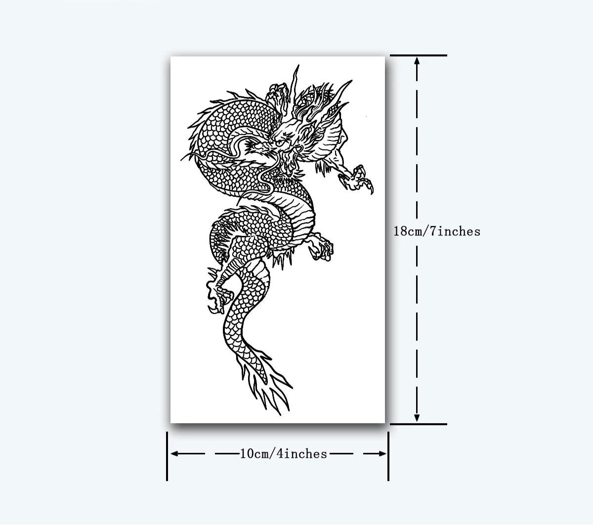 Dragon Collection
