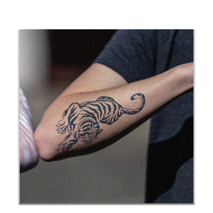 Fierce Tiger