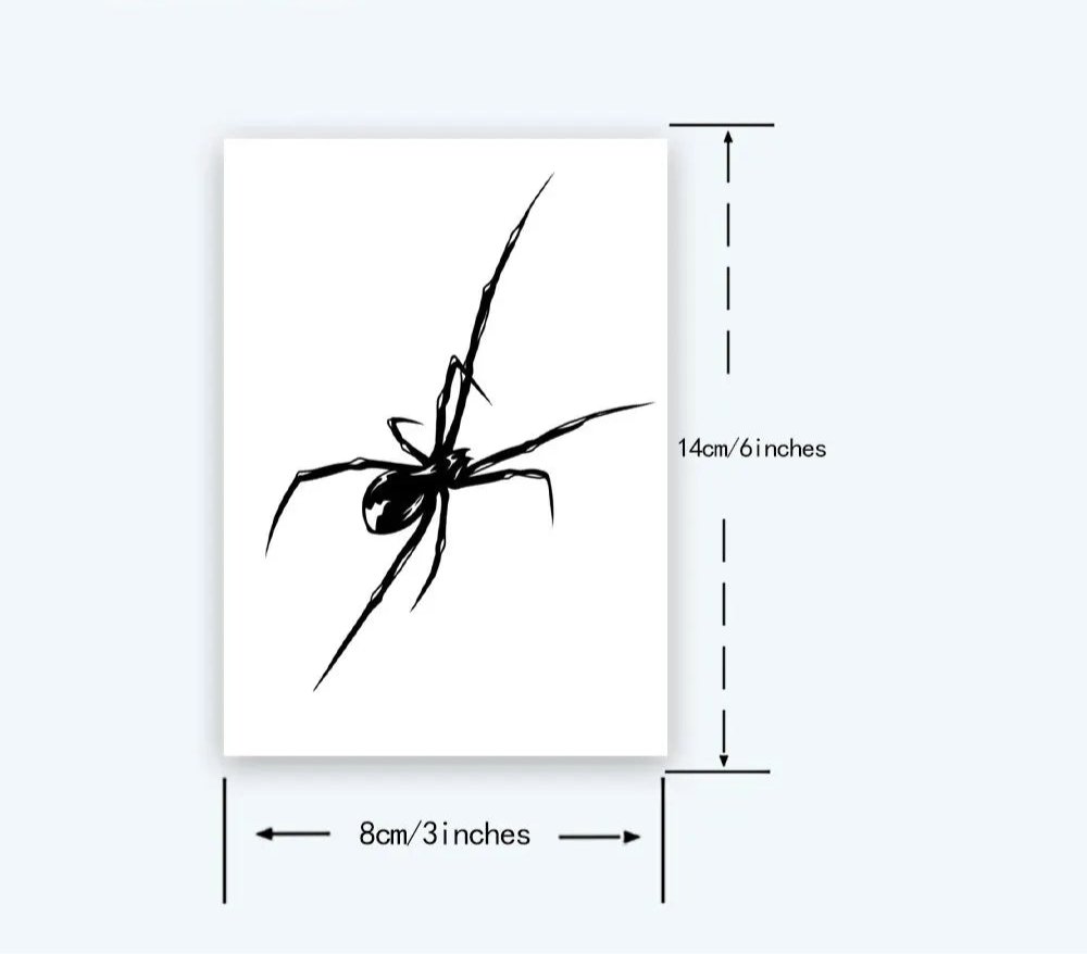 Minimalist Spider