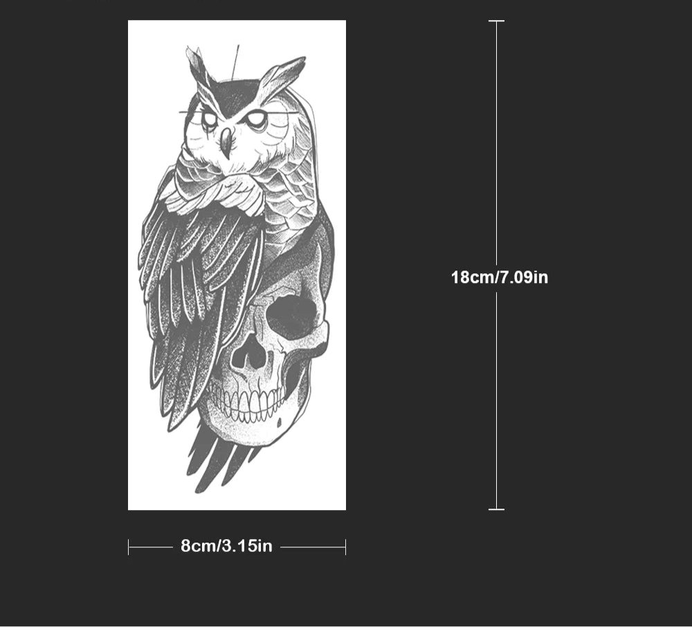 The Owl and the Skull