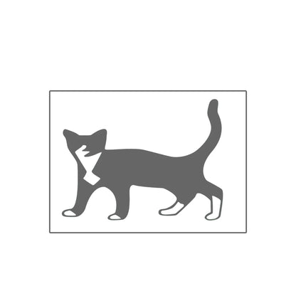 Playful Cat