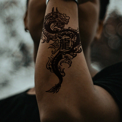 Dragon Collection