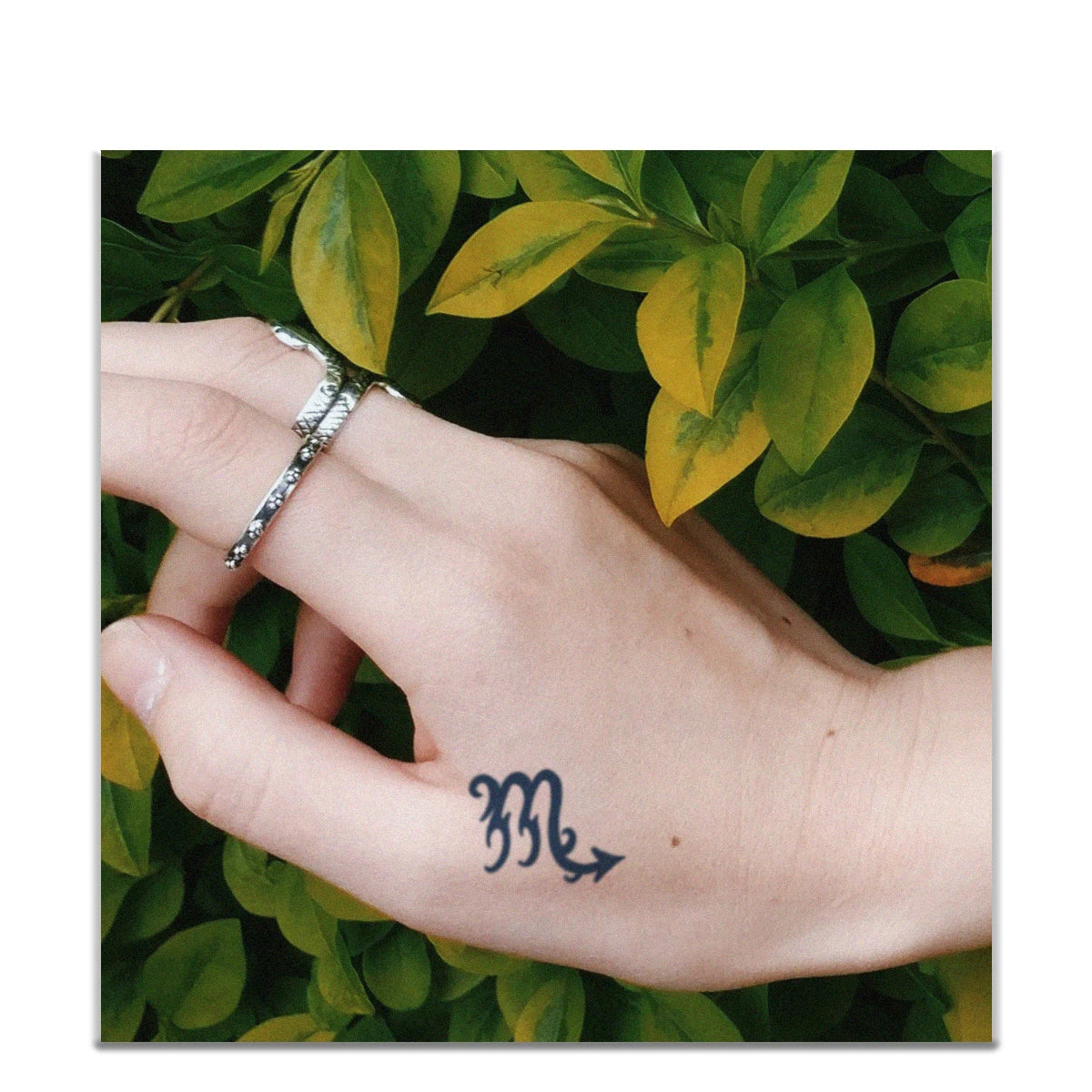Zodiac Symbols
