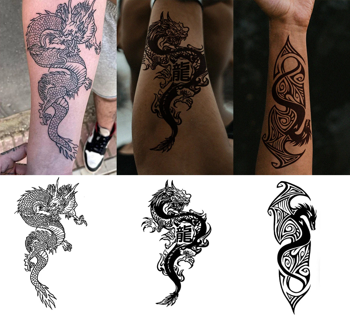 Dragon Collection