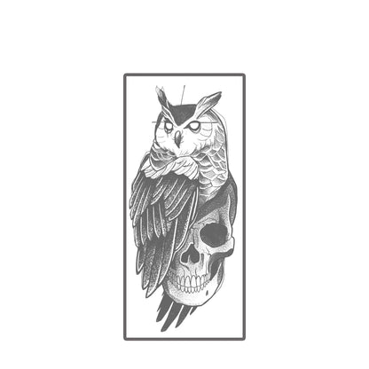 The Owl and the Skull